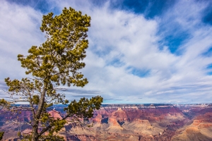 Grand Canyon. (fotil tanečník Kenji Kobayashi)