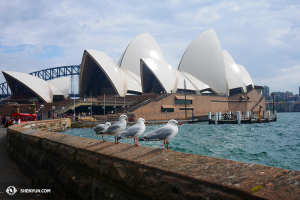 Návštěva operního domu v Sydney. Chvilka klidu a harmonie… (vyfotil tanečník Ben Chen)