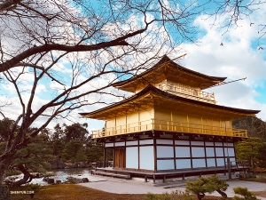 Další mise: Tanečnice Shen Yun World Company byly odhodlány zachytit slavný Zlatý pavilon v celé jeho kráse. (Fotila Lily Wang)
