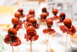 Tyto úchvatně zakroucené mini-chobotnice, připomínající křepelčí vejce, nás také zaujaly. (Fotila tanečnice Michelle Wu) 
