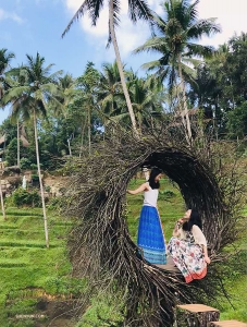 Ashley Wei (left) and Diana Teng find a quiet spot to recover from the adrenaline rush.